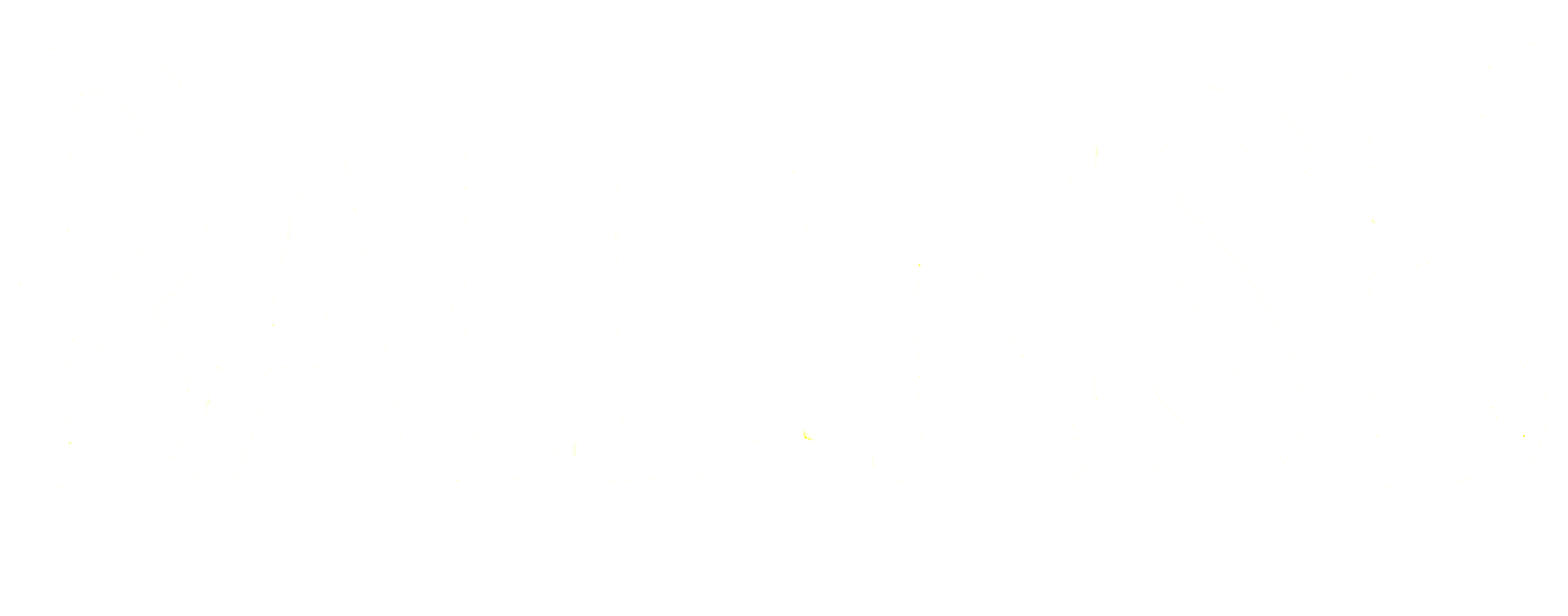 Ballinse%20logo%20bianco